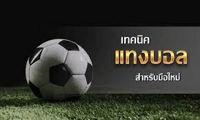 เทคนิคแทงบอล สูง-ต่ำ สร้างกำไร
